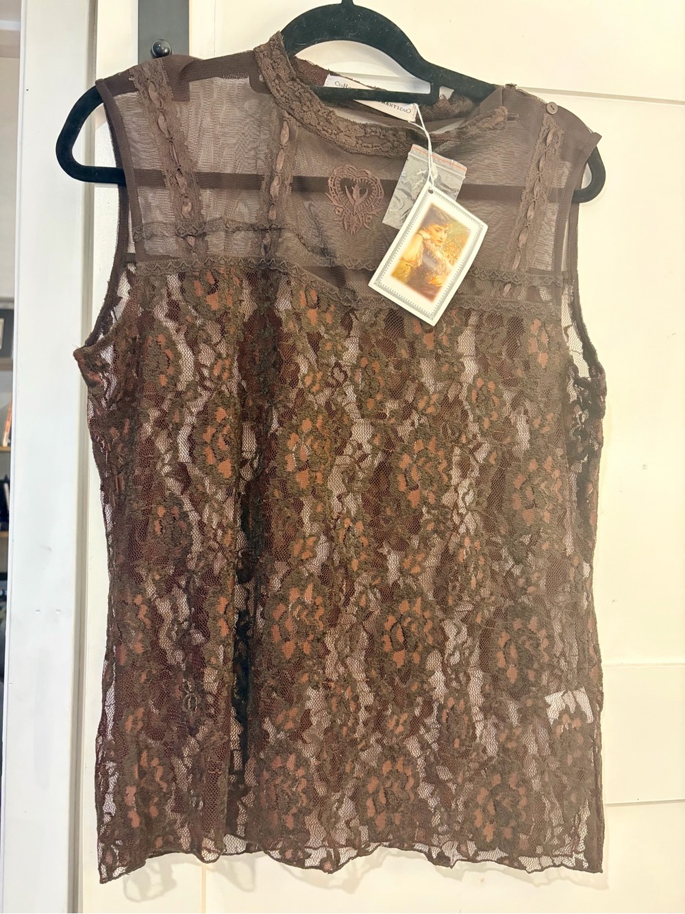 Hopeless Romance Sheer Lace Top! Victorian Vibes!